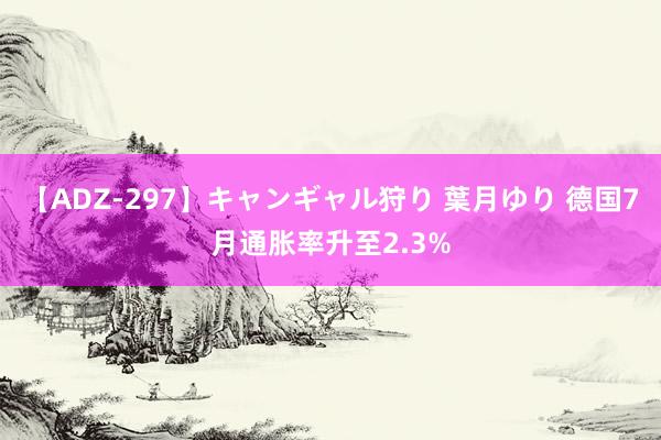 【ADZ-297】キャンギャル狩り 葉月ゆり 德国7月通胀率升至2.3%