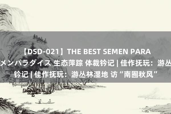 【DSD-021】THE BEST SEMEN PARADISE 美女12人とザーメンパラダイス 生态萍踪 体裁钤记 | 佳作抚玩：游丛林湿地 访“南囿秋风”